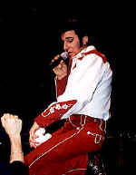 wpe188.jpg (9848 bytes)