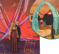 STARS_Metal_Oval_Walk_W_Fabric_example.png (990542 bytes)