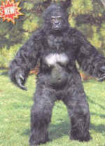 wpe14.jpg (25411 bytes)