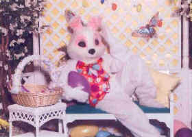 wpe1D.jpg (17735 bytes)