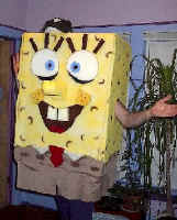 wpe33.jpg (18350 bytes)